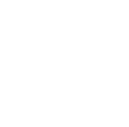 No Alcohol